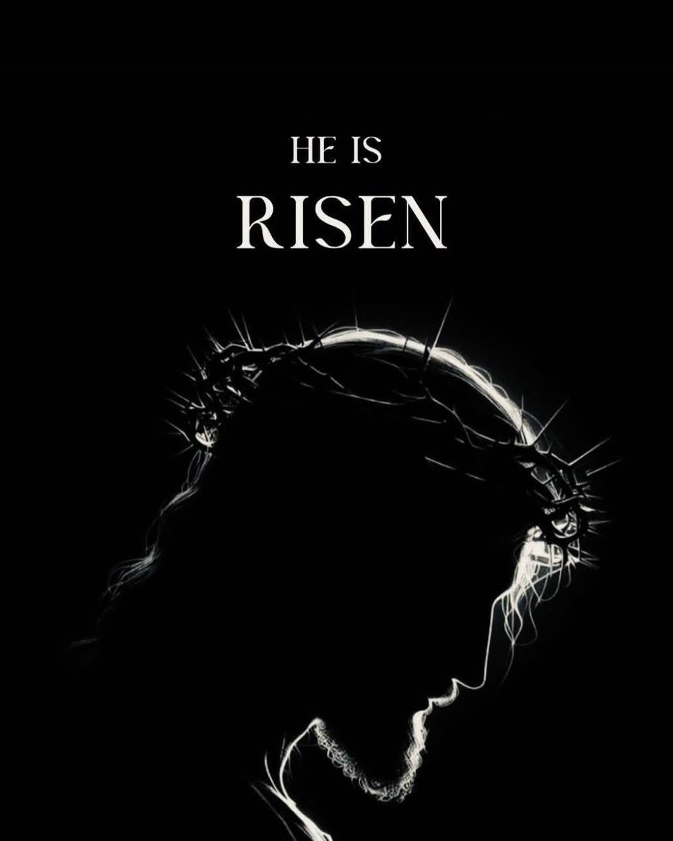 ...poz... tweet media