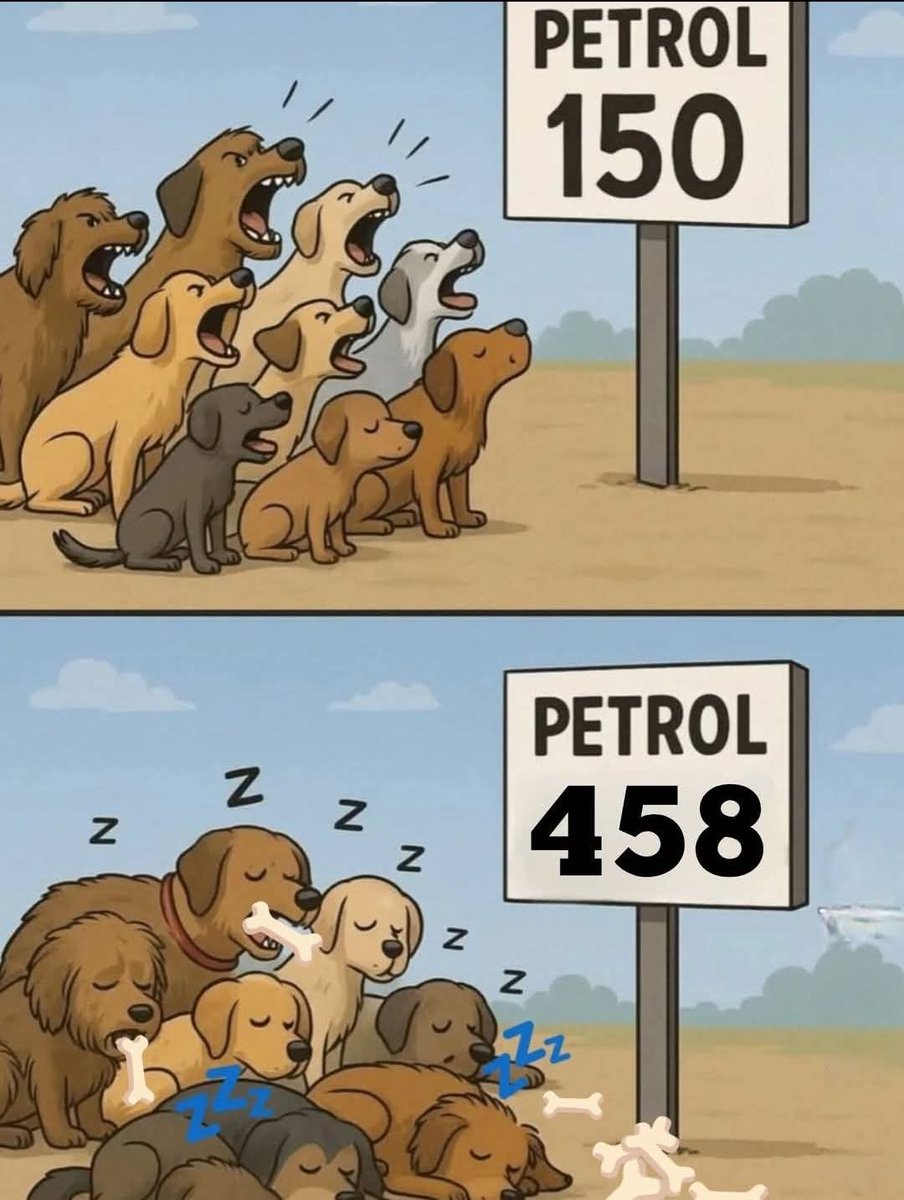 Hassnain Ali حسنین علی tweet media