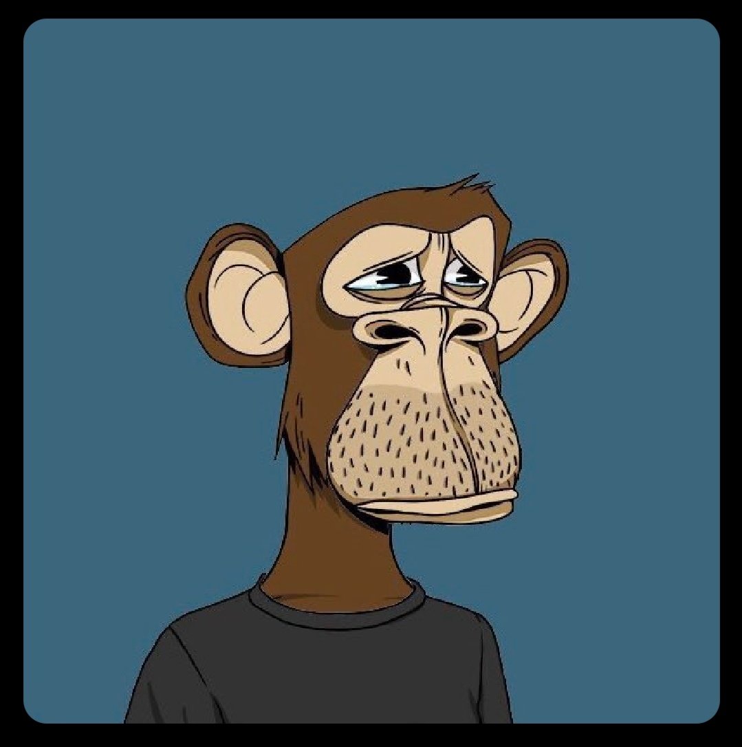 abby_AFC 🅰️ tweet media