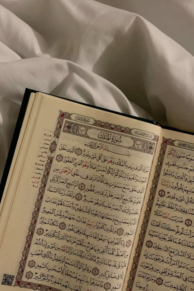 Hanafi Vibes 🎀 tweet media