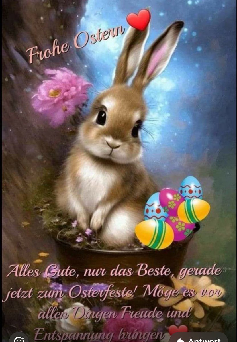 Brigitte Akın 🇩🇪🇹🇷 tweet media