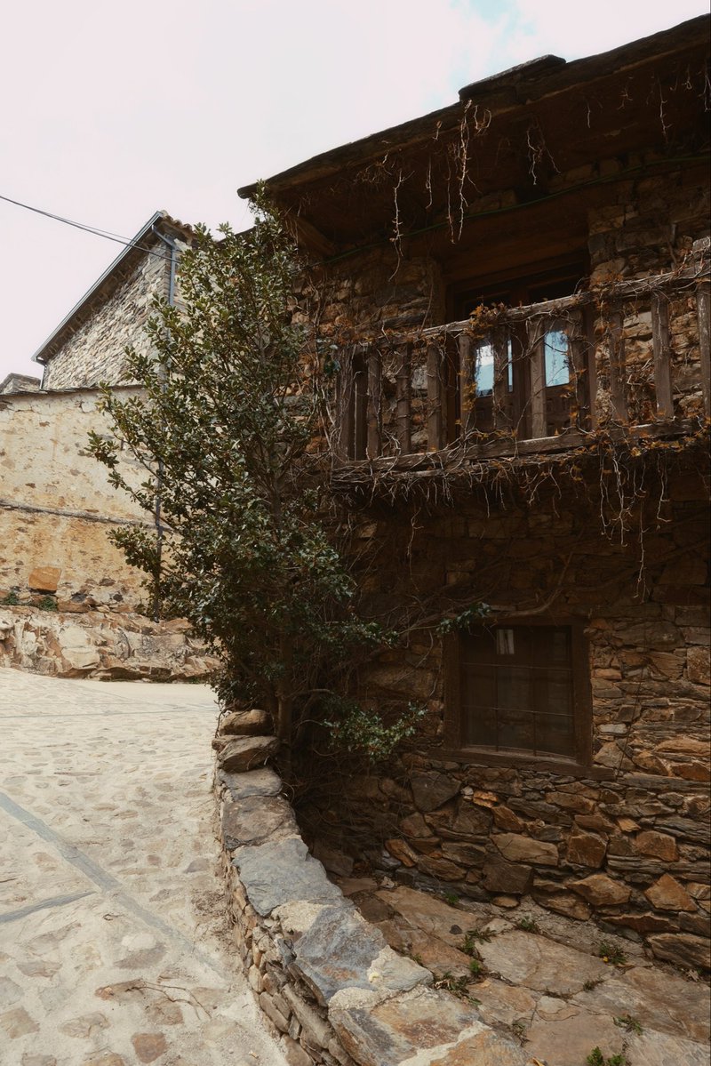 E L I S A 🎙️🖥️ tweet media