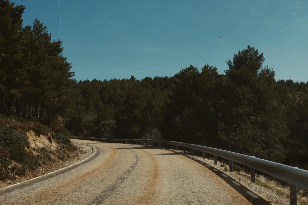 E L I S A 🎙️🖥️ tweet media