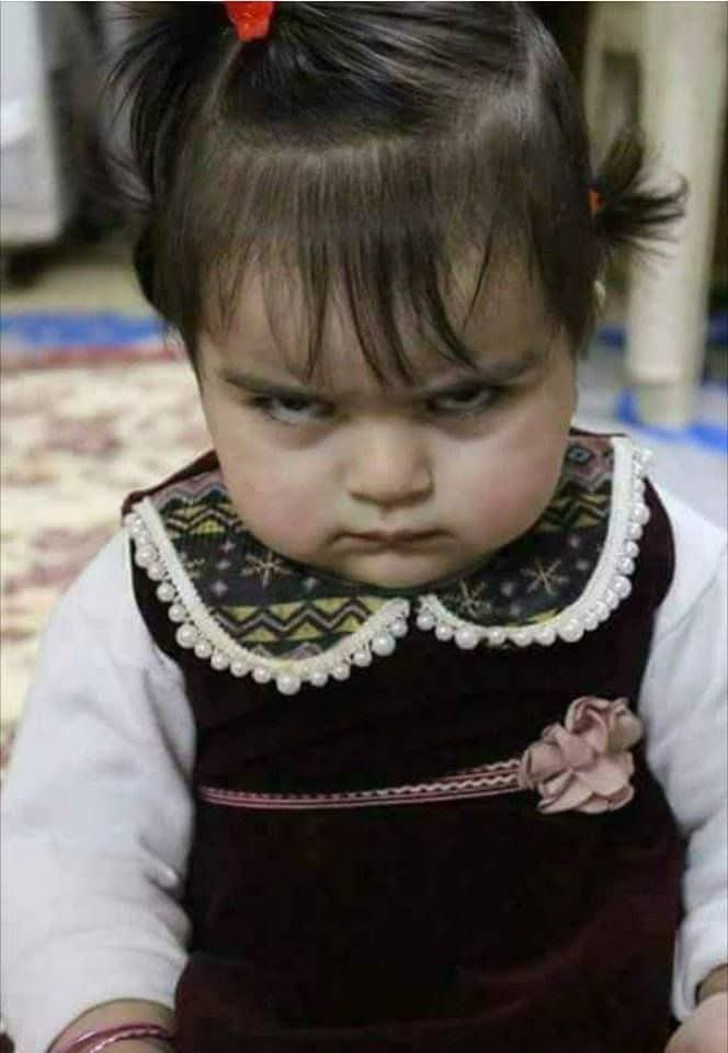 Mobeena Khan tweet media