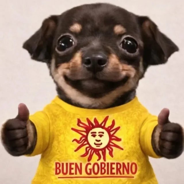 Calo 🎾 tweet media