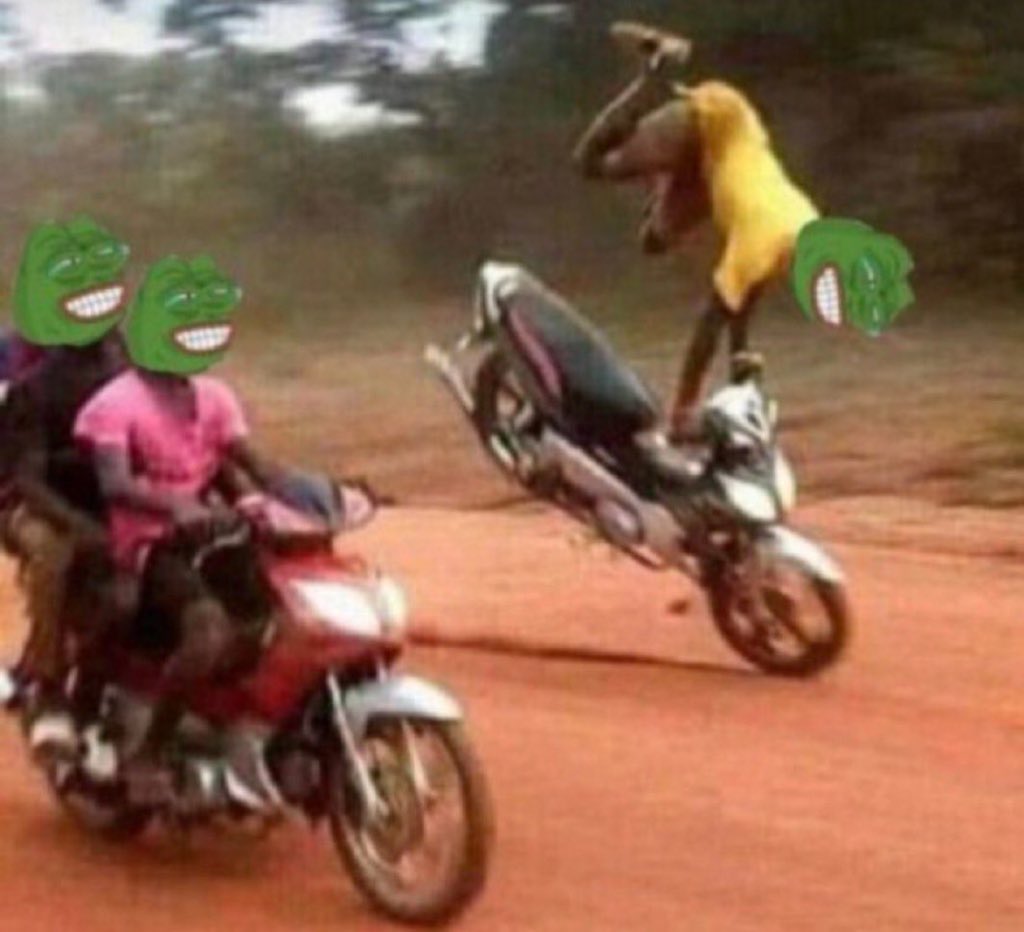 NON_ ZIKO tweet media