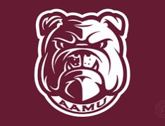 Cartwright_D1's tweet photo. ‼️ I will be at Alabama A&amp;M University April 11th Thank you guys for the invite‼️
@AamufbR @Coach_Sam_Shade @CoachBradB @KenyattaMcCoy
@Coach_MColeman @ChrisShelling2
@willsims50 https://t.co/HUtGyhUucS