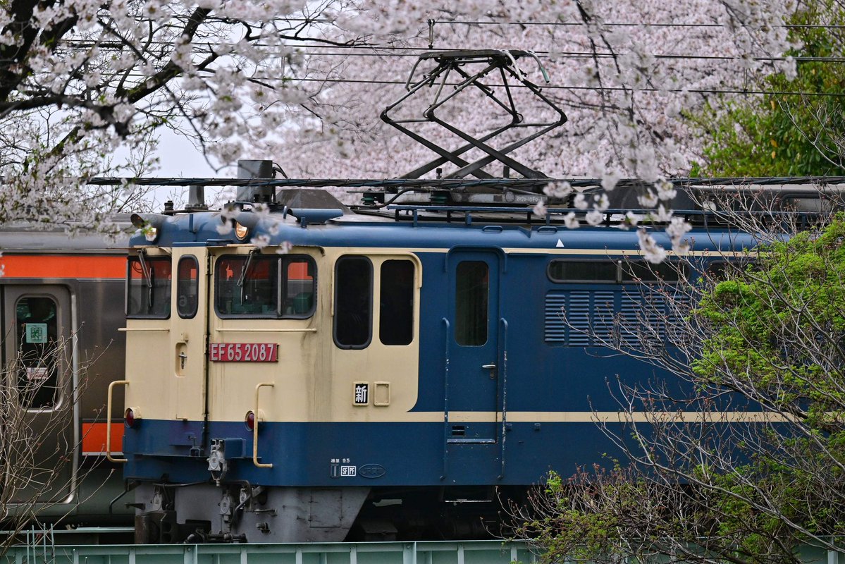 cassiopeia_ef510 tweet media