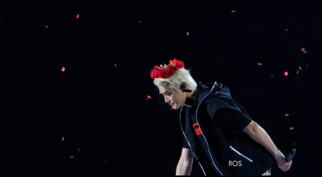 🧚🏻‍♀️ㅡ✩ ･。 　　　
               +*:  .
　　　    。+ * 。•
        🌹•  . ✨･° *🌹
 ✨  *:ﾟ･ ｡☆🌹* ੈ✩‧₊˚* ੈ✩‧₊🌹