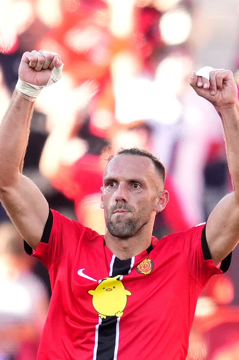 Míster Seitán tweet media