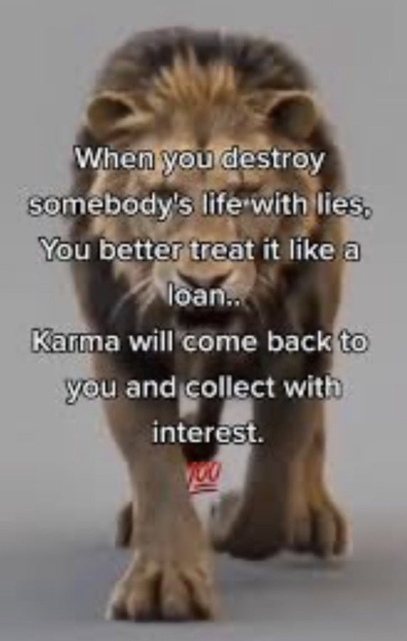 ⚓CPO "YB Boylen" Frog 🐸 🔥 tweet media