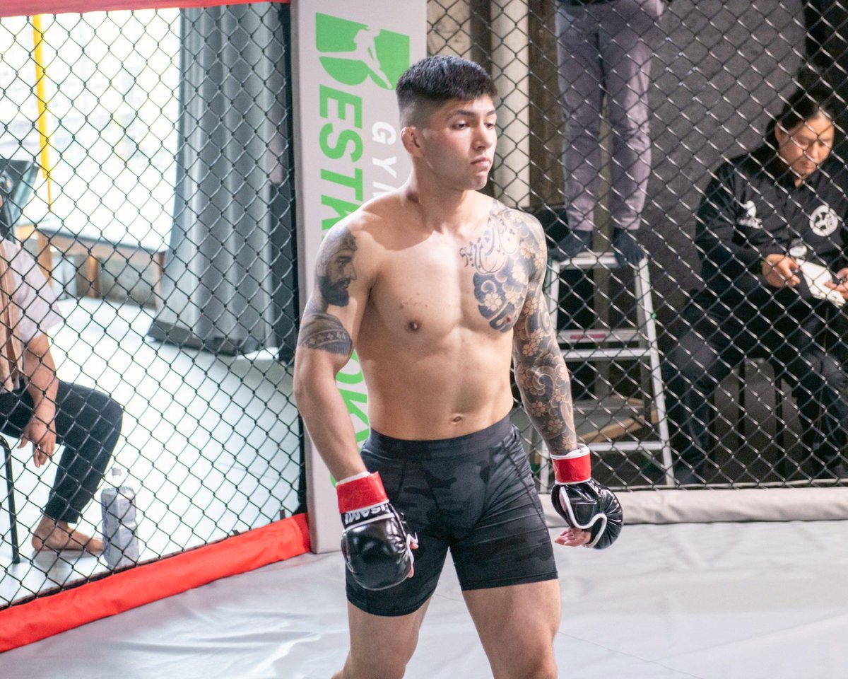 テヘランカトウ/ Tehran Kato tweet media