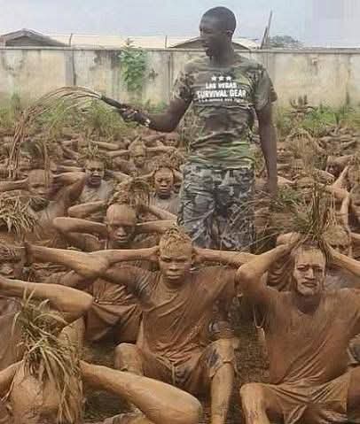 PATRIOTIC SOJA ($TSIR-MUNCHAN) tweet media