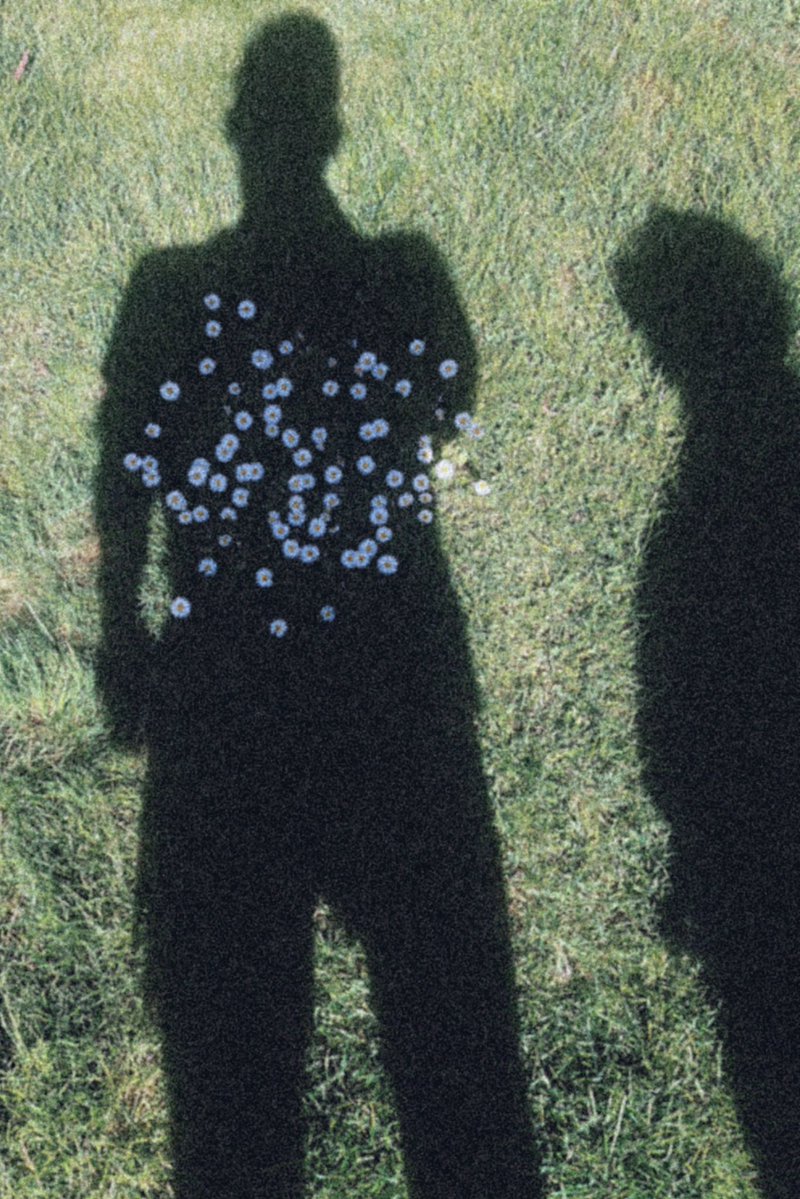 ruido perro tweet media