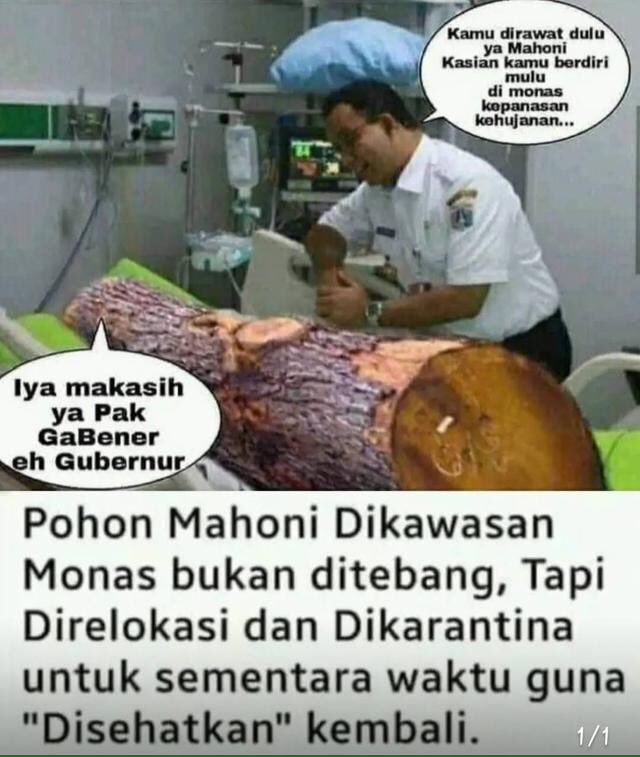 hadehate16's tweet photo. @kangdede78 @aniesbaswedan https://t.co/qWoYPSlqKH
