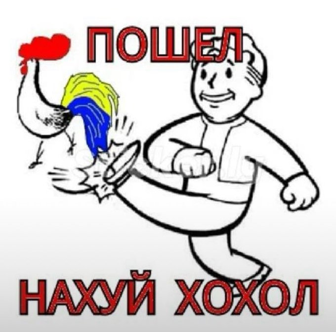 Alex tweet media