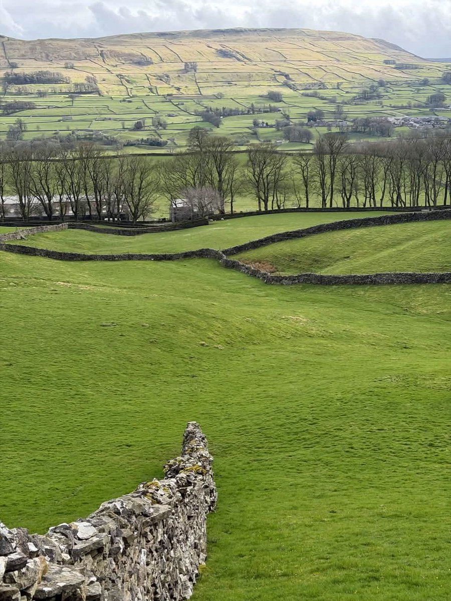 Postcard from Britain tweet media