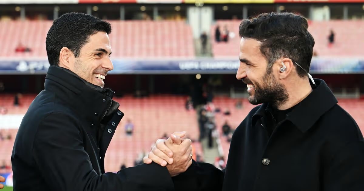 Arsenal News Channel tweet media