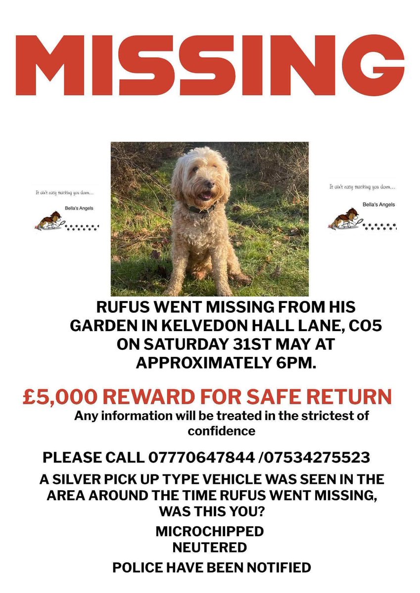 Missing Pets GB tweet media
