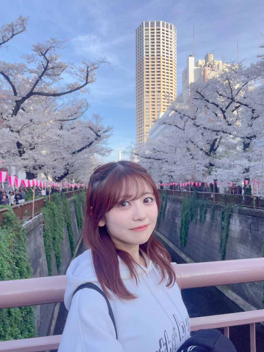 ひなぷ(武田雛歩) tweet media