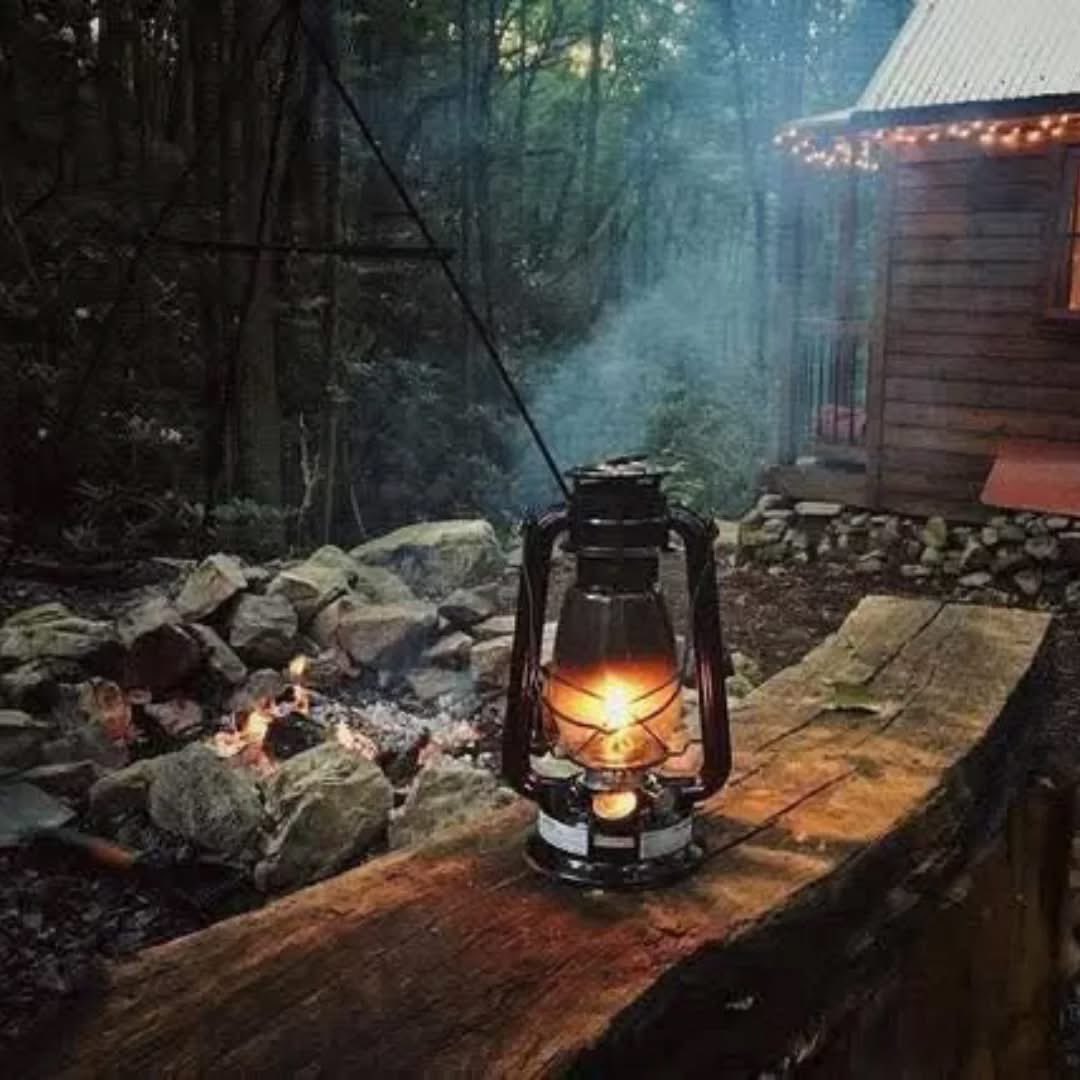 Lena🌻📚👩🔬⚗️ tweet media