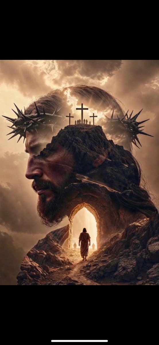 ✨💫Cali💫✨ tweet media