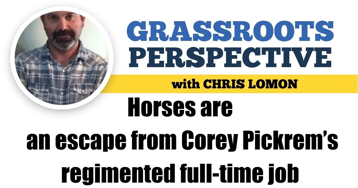 Harness Racing Update tweet media