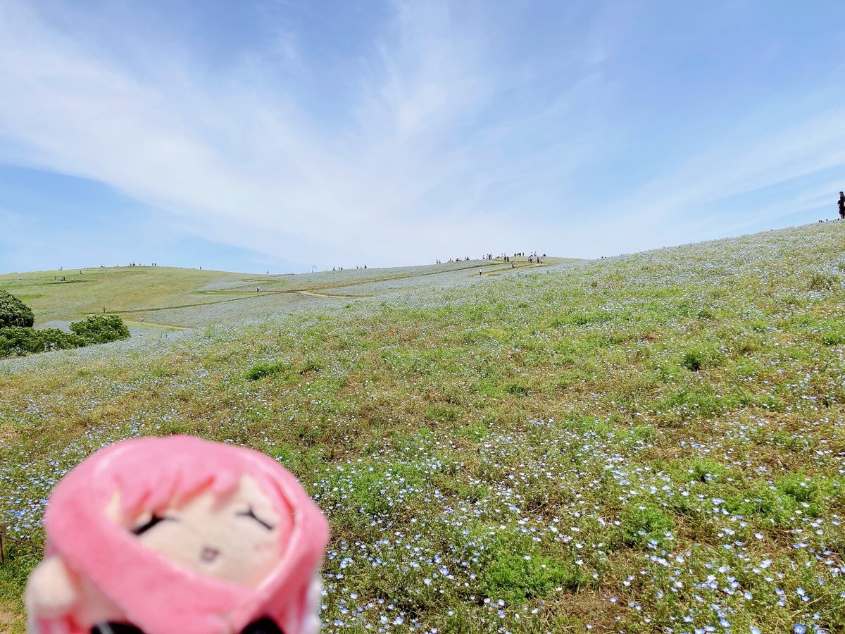 中村力斗＠100カノ25巻3/18発売 tweet media