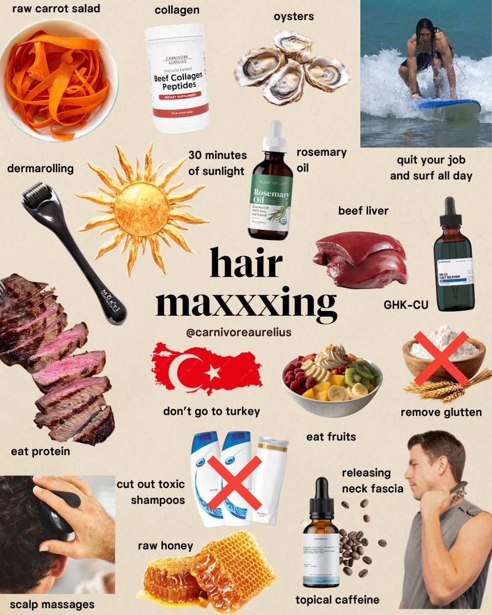 Carnivore Aurelius ©🥩 ☀️🦙 tweet media