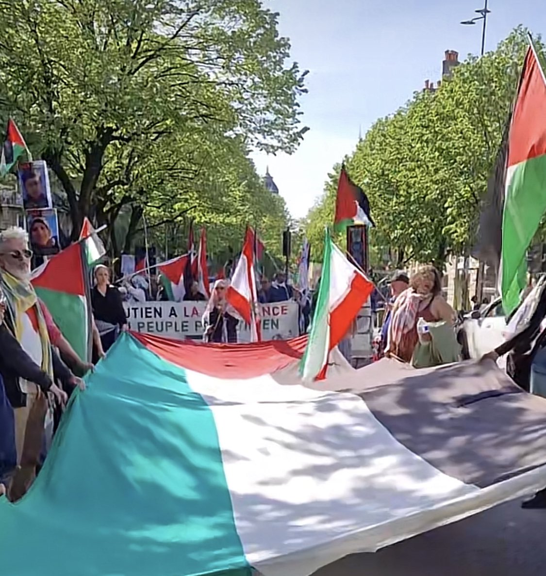 Comité Action Palestine tweet media