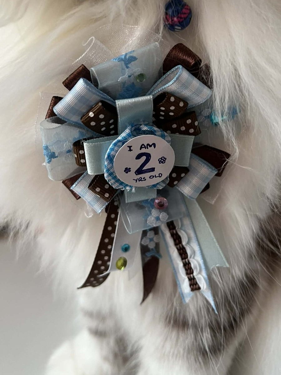 franchii tweet media