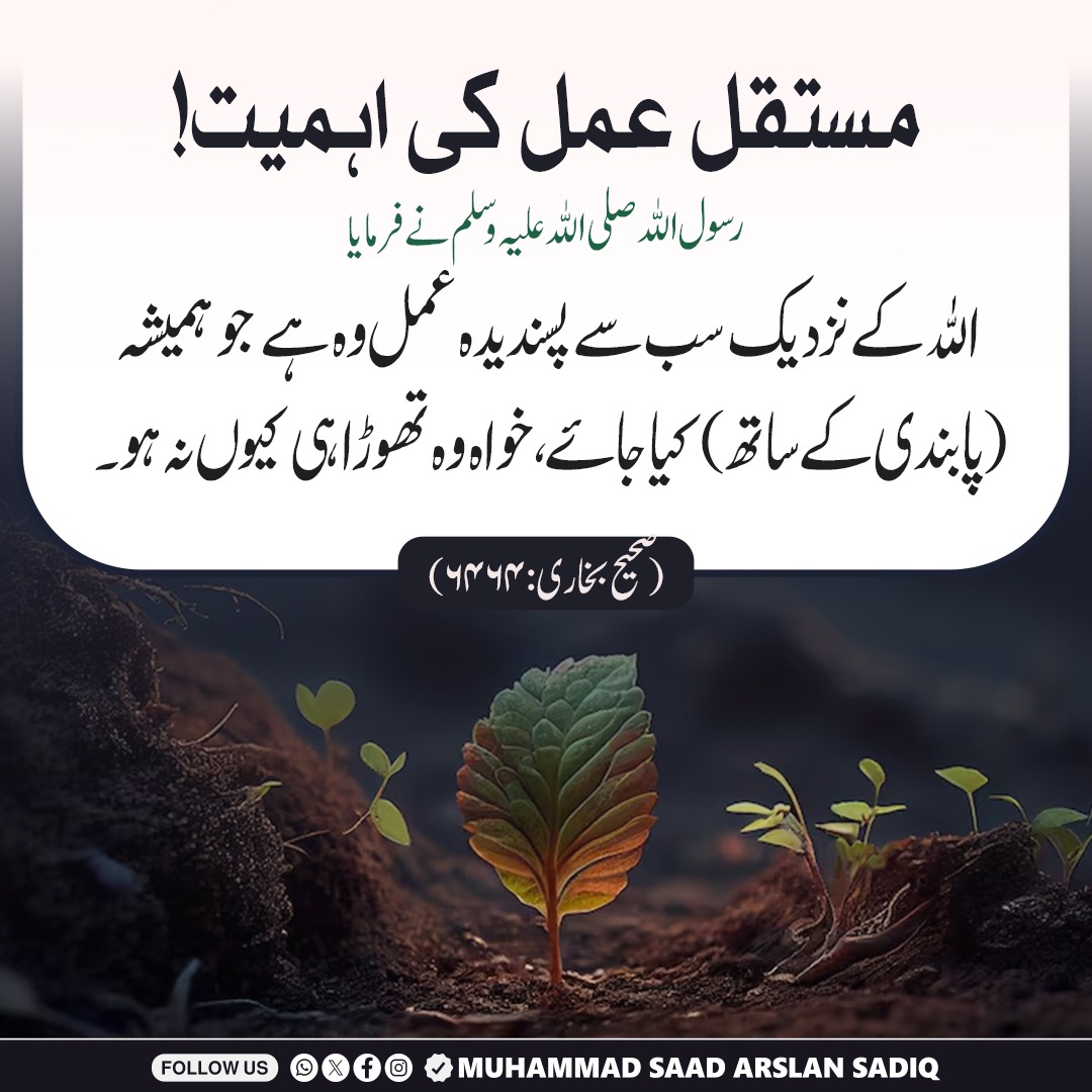 MSArslanSadiq's tweet photo. مستقل عمل کی اہمیت۔ 
#islamicquote #islamicposts #quranquotes https://t.co/RB0dbQXncN