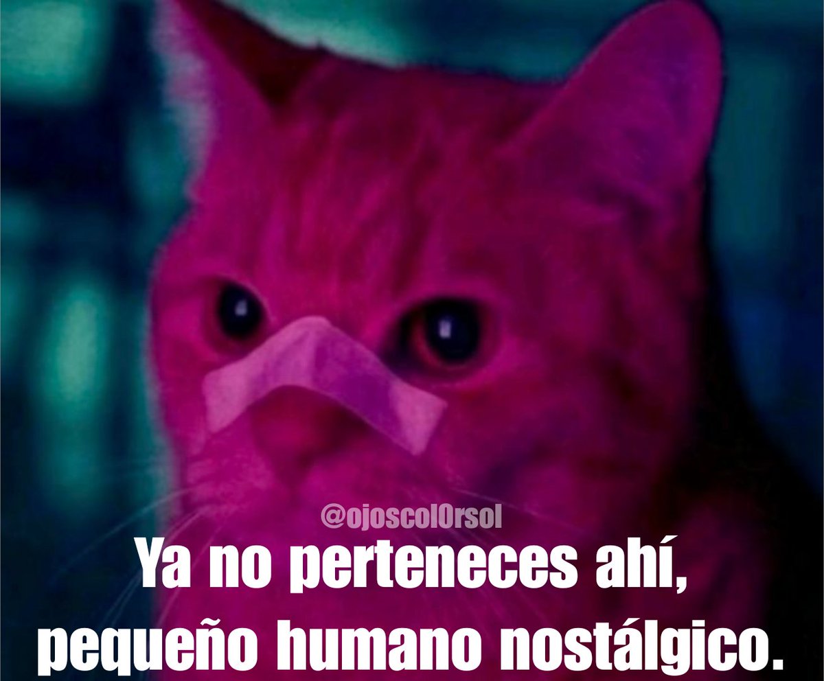 Ojos color sol tweet media