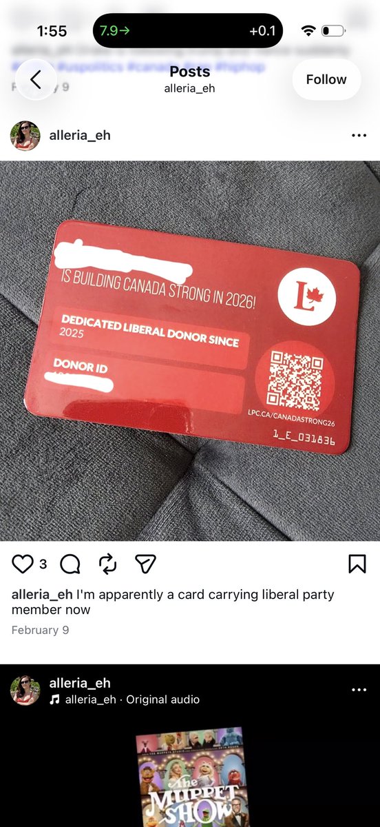 Newfiegunny tweet media