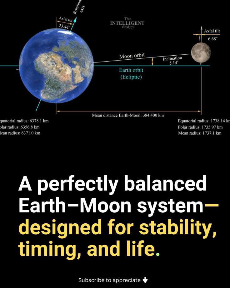 Not Evolution tweet media