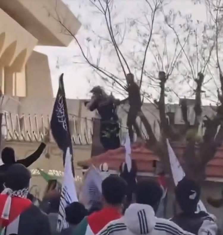 محمد هويدي tweet media