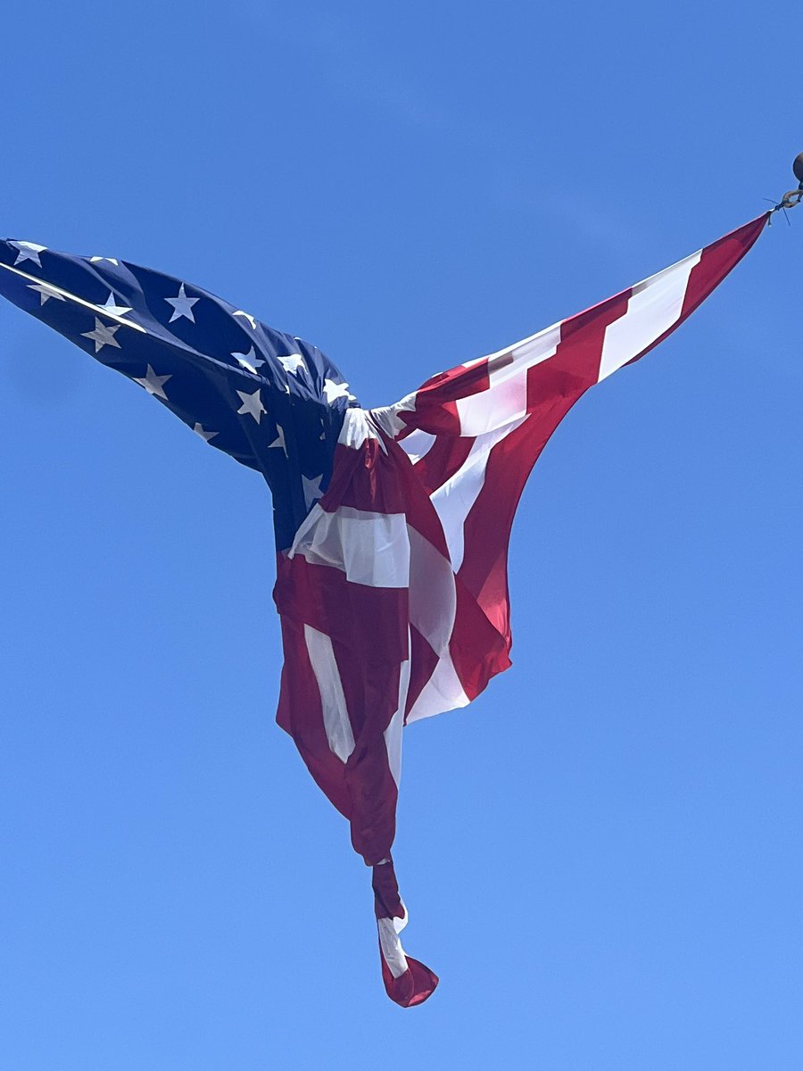 SharkFL239 tweet media