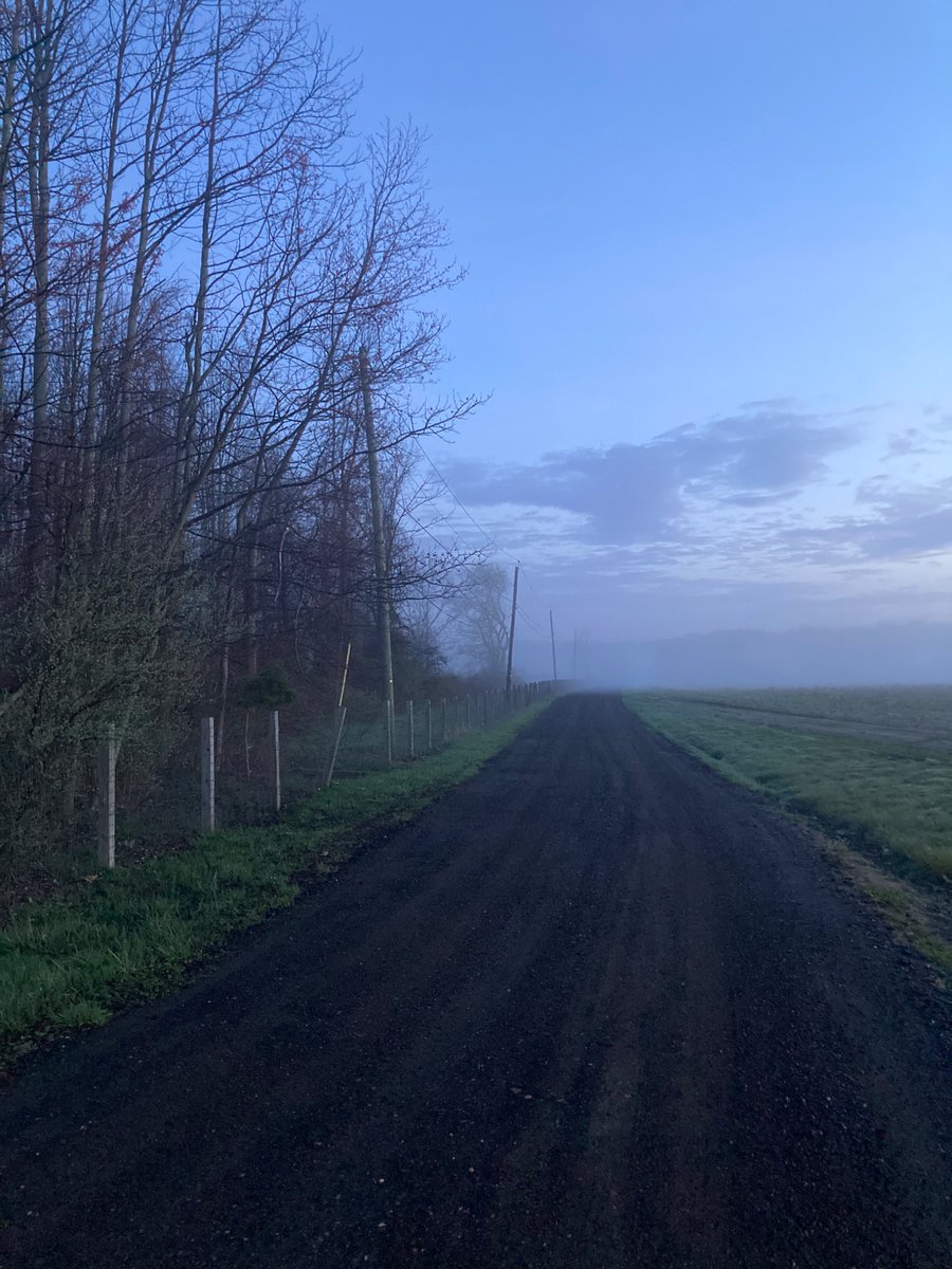 🌲 ⛄️Joe Sapia ⛄️ 🛷 tweet media