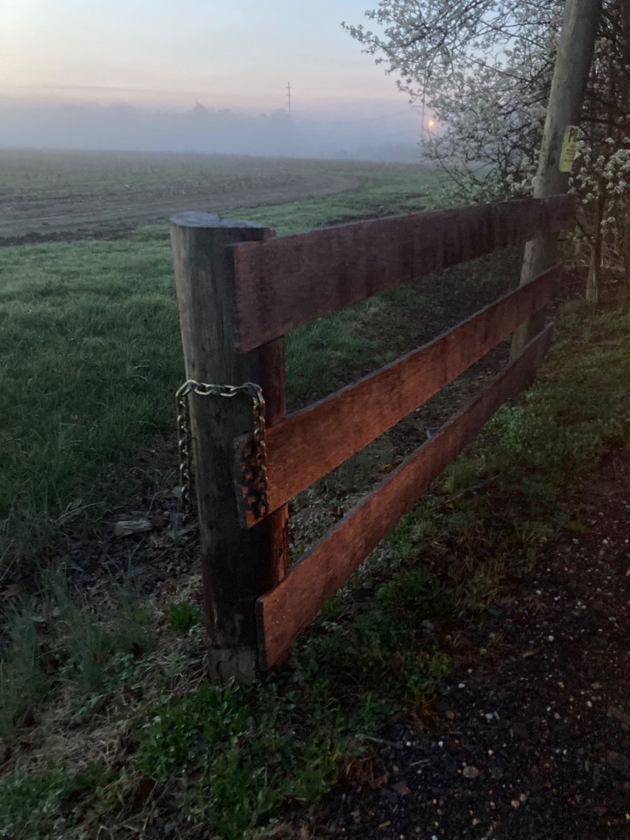 🌲 ⛄️Joe Sapia ⛄️ 🛷 tweet media