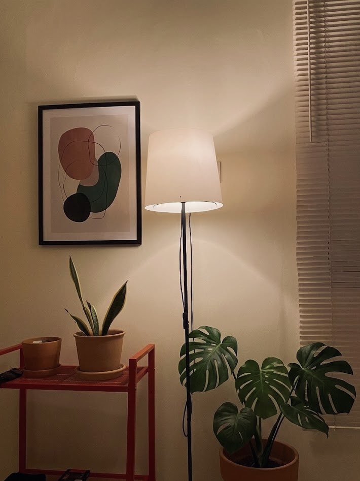 random person tweet media