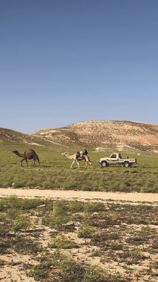 Ashwag 🕊️. tweet media