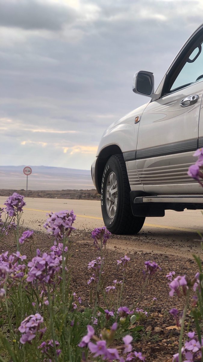 Ashwag 🕊️. tweet media