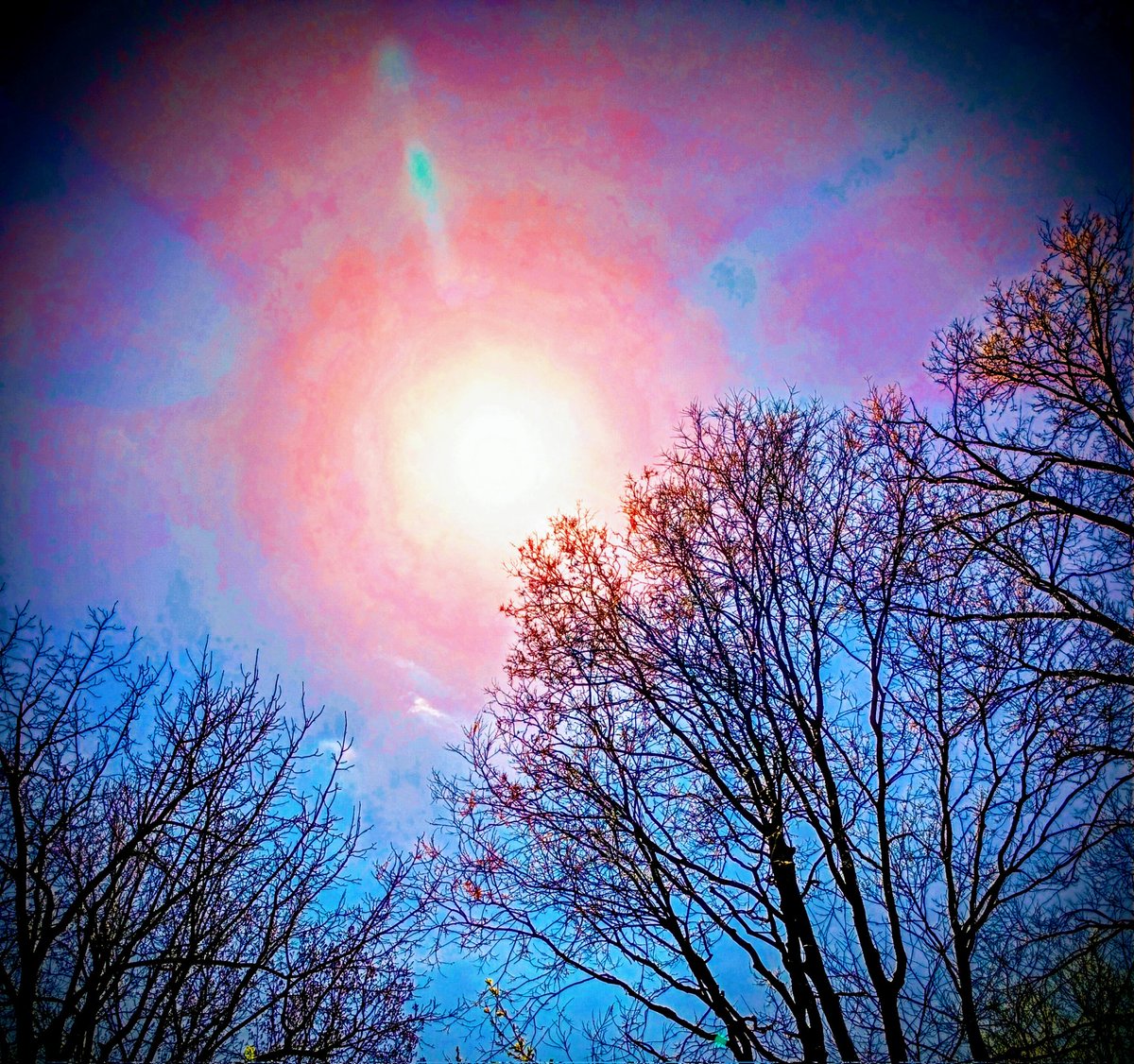 Shannon Kay tweet media