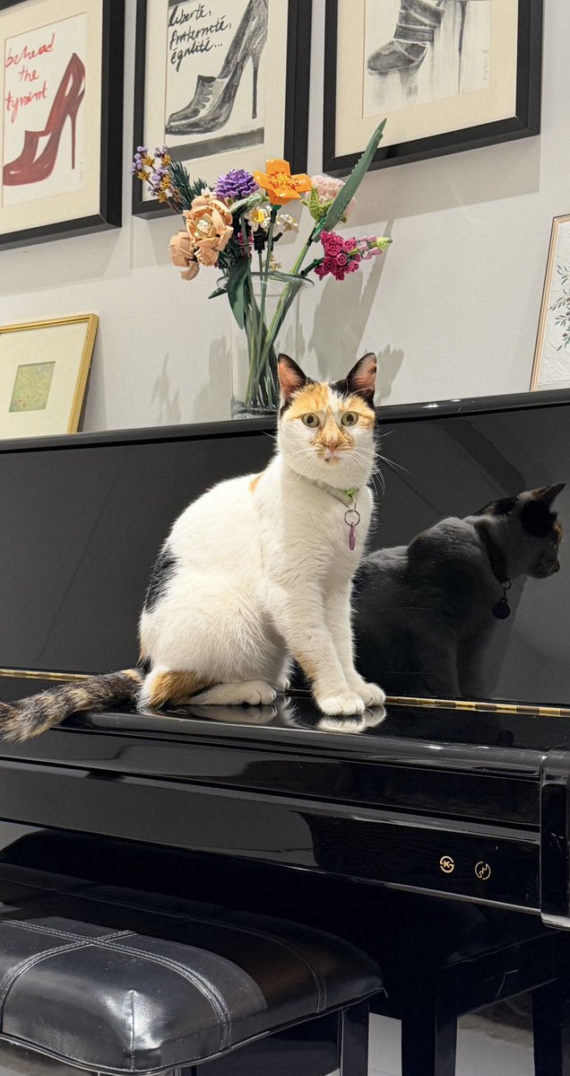 John Georgoulas tweet media