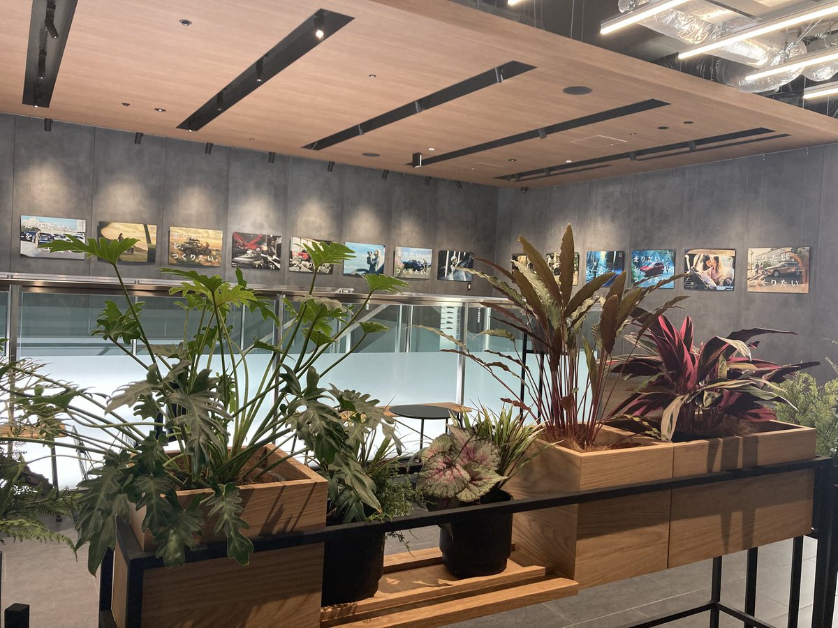 My MeLoDy🐰🤍 メンタスありがと🐱🌈🩵 tweet media