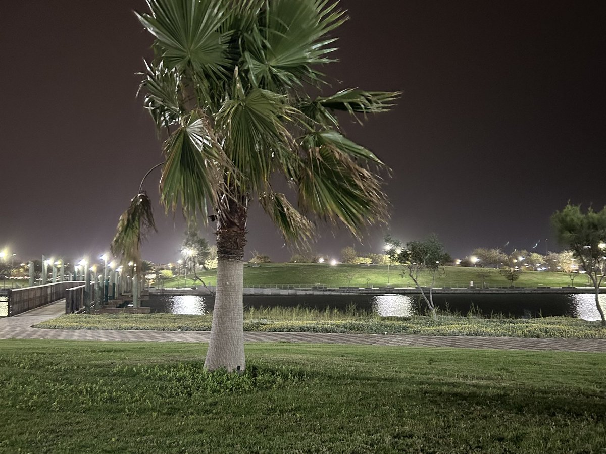 لقمان tweet media