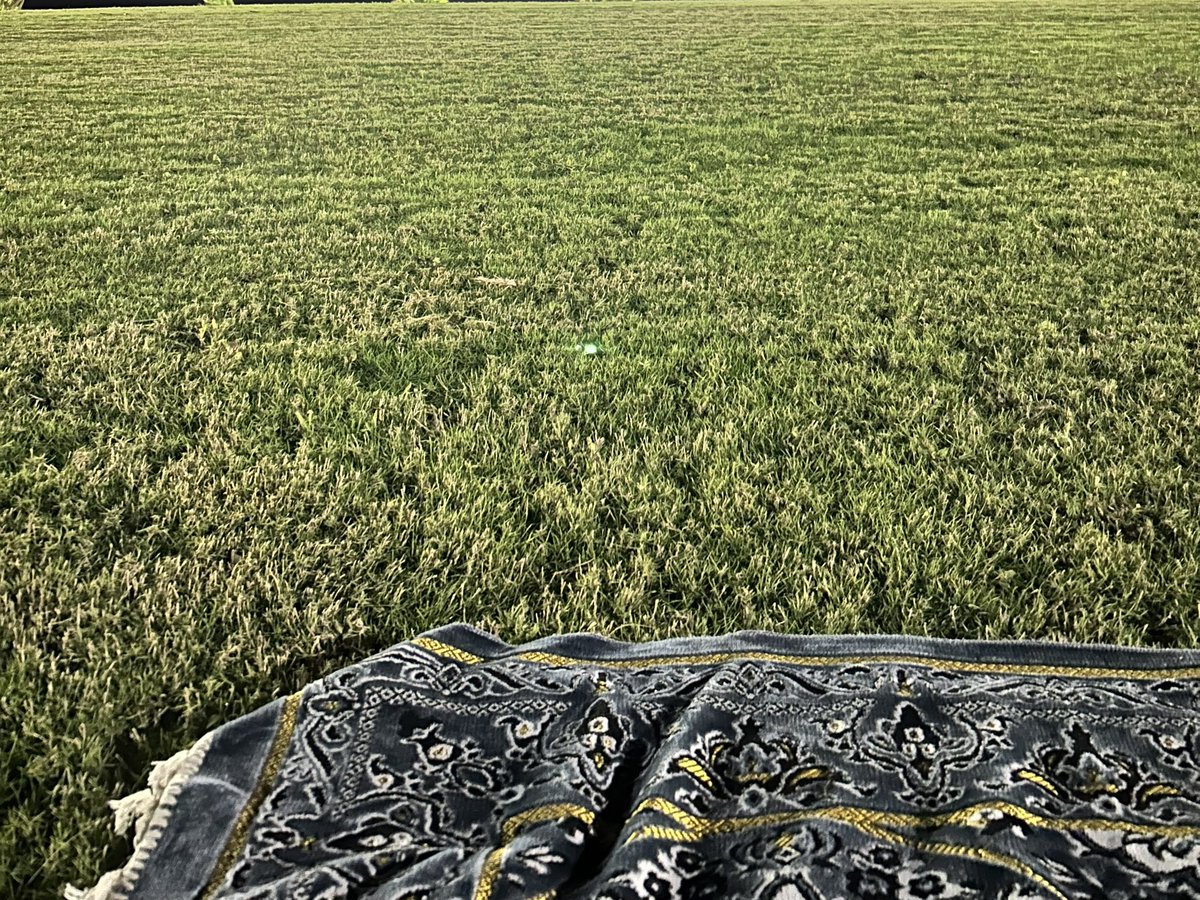 لقمان tweet media