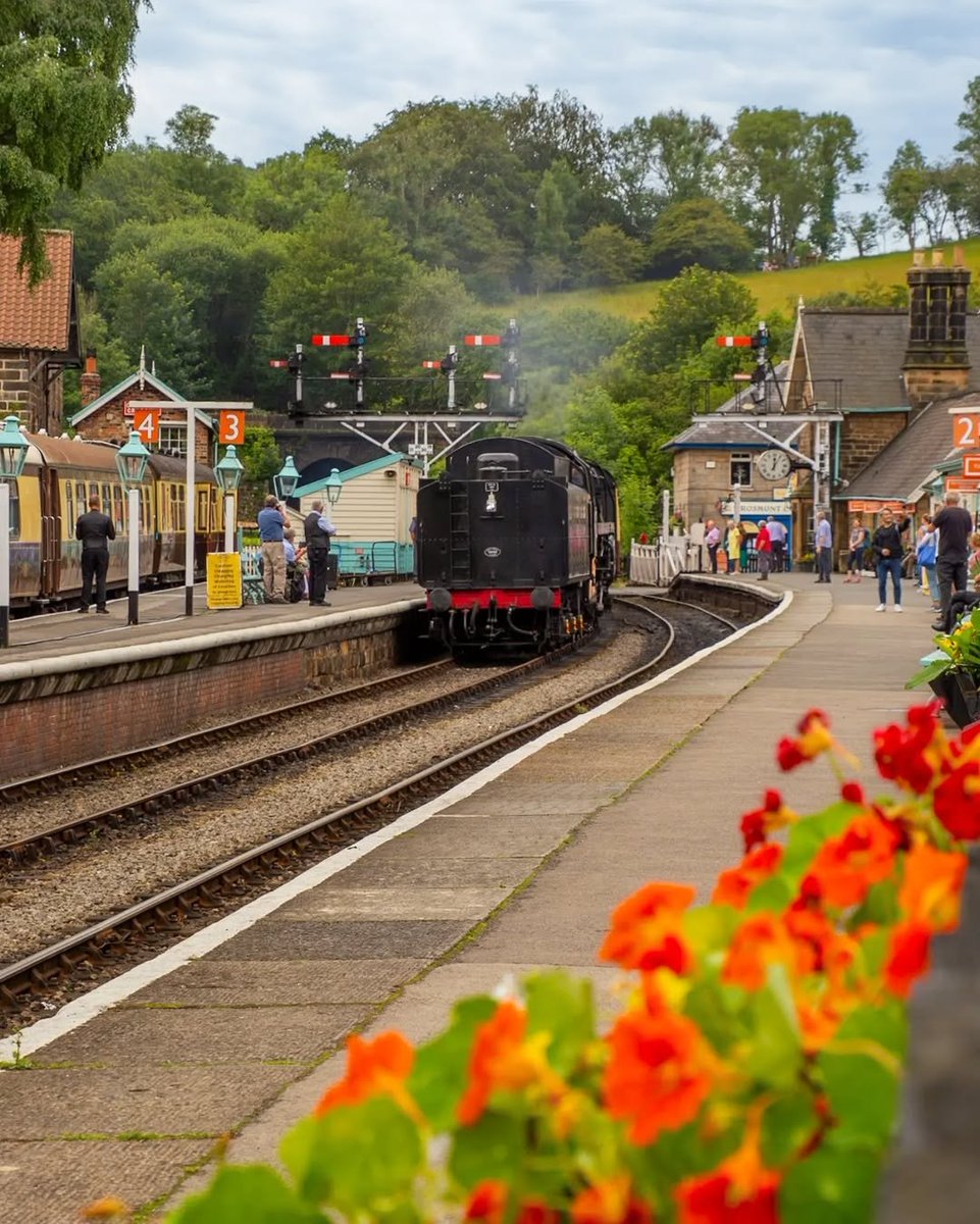 North Yorkshire tweet media