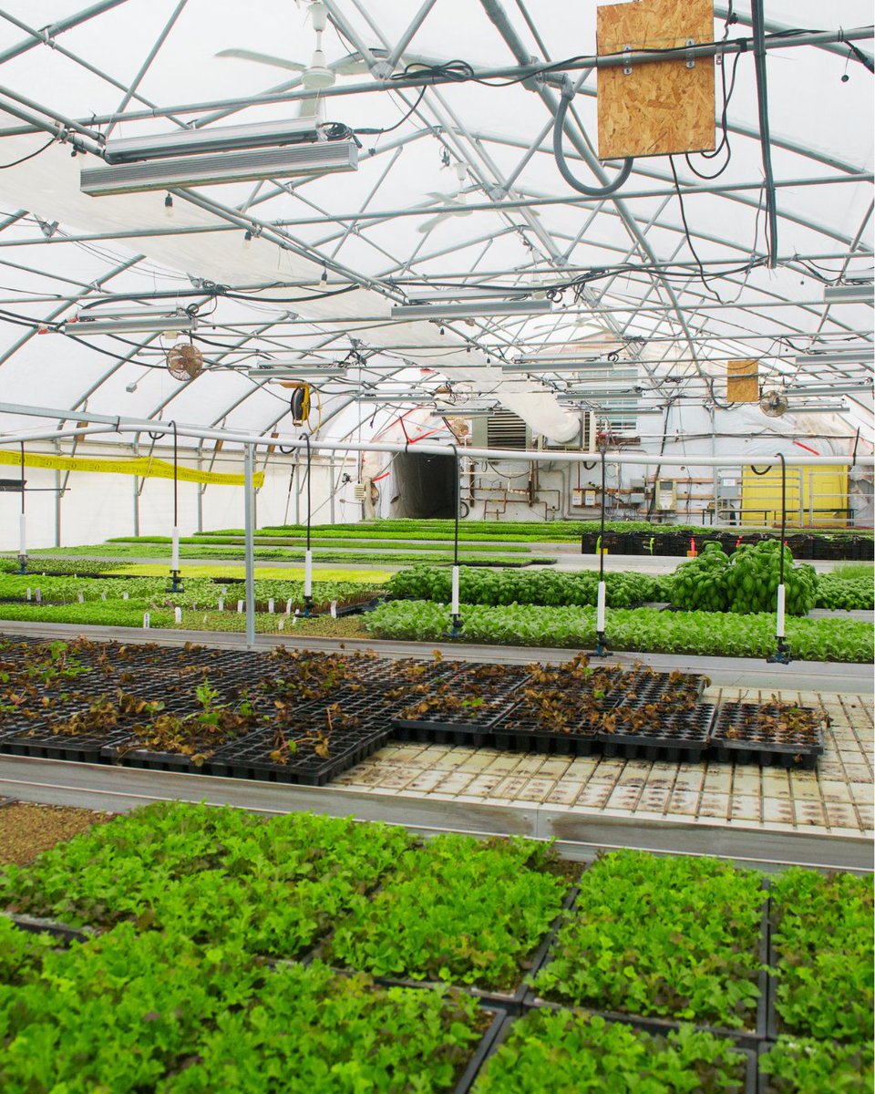 Progress Michigan tweet media