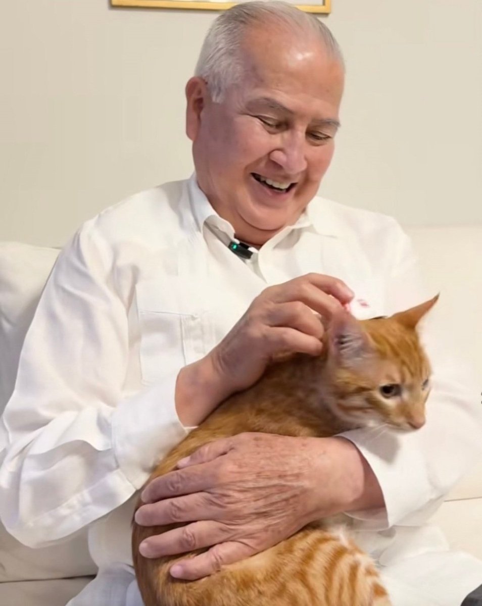 Roy Alta_peru tweet media